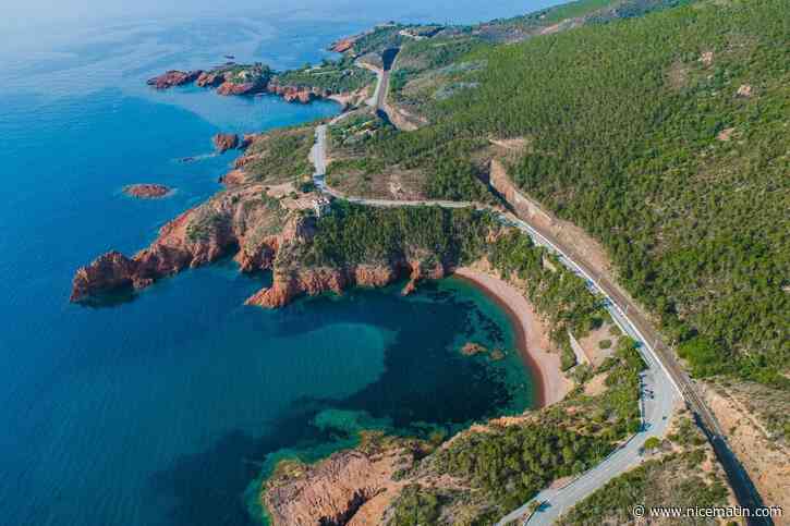 Promenade strictement interdite : placés en risque incendie « extrême » et « très sévère », tous les massifs forestiers du Var fermés ce samedi 18 juillet