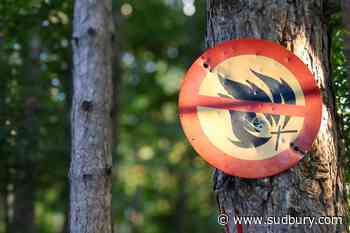 Restricted fire area extended into the northeast region