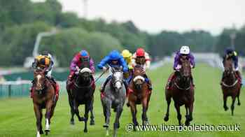 Horse Power: Zigazig Ah tuned up for the Super Sprint success at Newbury