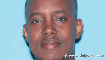 Suspected Somali fraudster is arrested in his home country and flown back to Minnesota to face $300m taxpayer scam charges