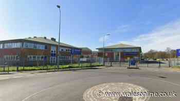 High demand means popular Welsh-medium secondary school in Cardiff will expand intake