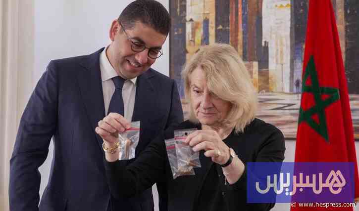 المغرب يسترجع "أسنان ديناصورات"