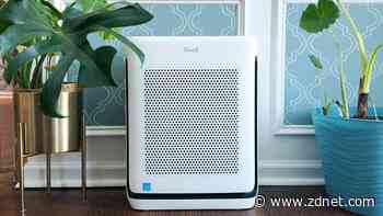 This Levoit is the best smart air purifier I've tested (and it's on sale)
