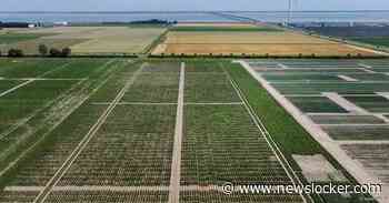 In Zeeland wordt de aardappel van de toekomst ontworpen