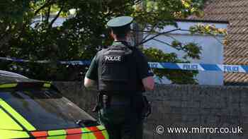 Police update as girl, 8, among three killed in Ballymena 'double murder suicide'