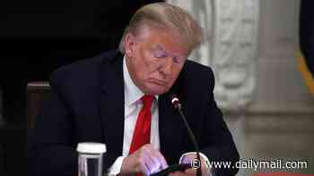 Wall Street erupts as Trump family plots brazen cash grab off president's market-moving posts