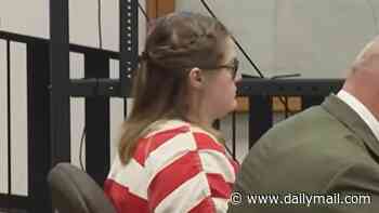 Shocking new allegations made against Idaho mother charged with murdering twin toddlers who claimed both died of vaccine injuries