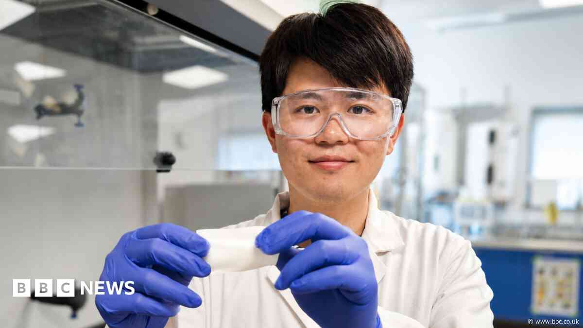 How plant-based wound dressing could fight infection