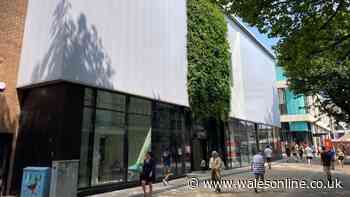 'Astonishing' cost of turning Swansea's old BHS and Miss Selfridge stores into library and hub