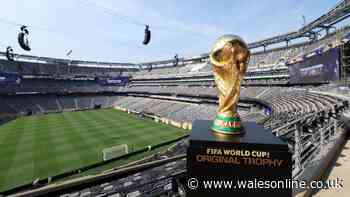 World Cup final could now last three hours as match postponed and alert issued