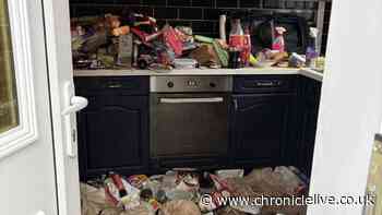 North East landlord fined £42,000 after tenants found living among 'dead rats and mice'