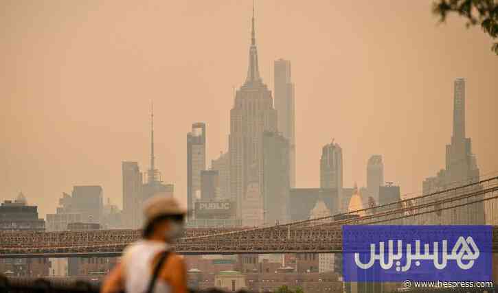 حرائق الغابات تسبق نهائي المونديال