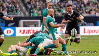 How to watch New Zealand v Ireland for free - TV channel and kick-off time