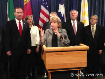 Jane Nelson, as she exits office, opens scrutiny into 'commercial mailbox' voters