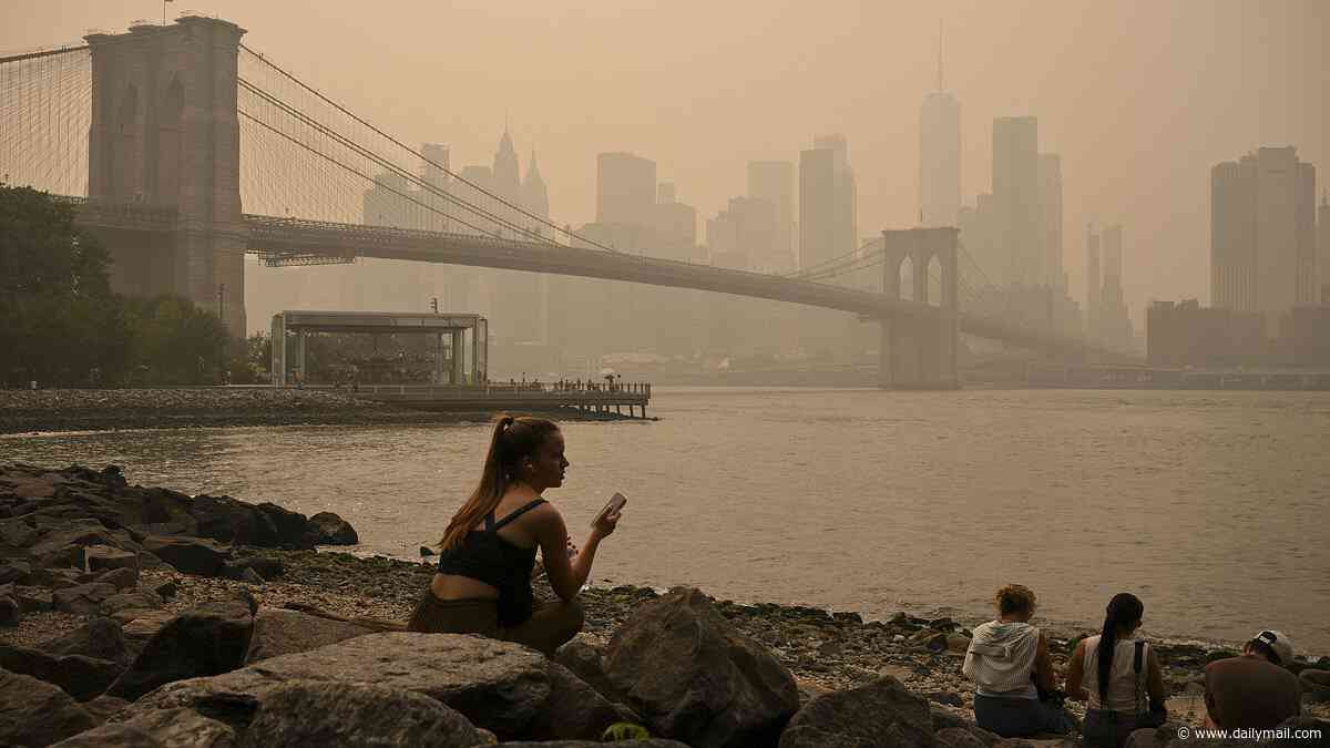 Sinister reason toxic haze smells of burning PLASTIC: Experts warn of deadly health risks as chemical-filled wildfire smoke blankets US