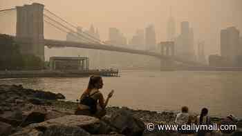 Sinister reason toxic haze smells of burning PLASTIC: Experts warn of deadly health risks as chemical-filled wildfire smoke blankets US