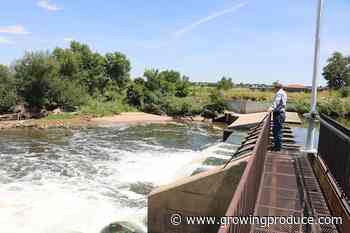 Talking Ag Water Policy With Robert Sakata