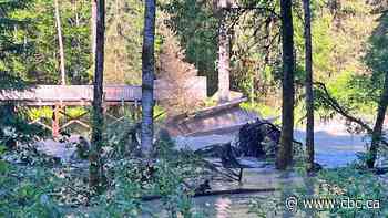 Bear viewing area in Hyder, Alaska, closed due to flooding