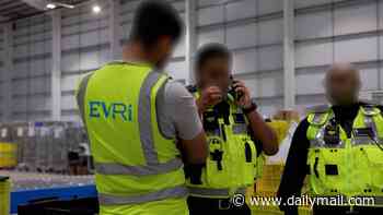 Moment Home Office officials arrest 10 'illegal workers' during immigration raids at Evri depots