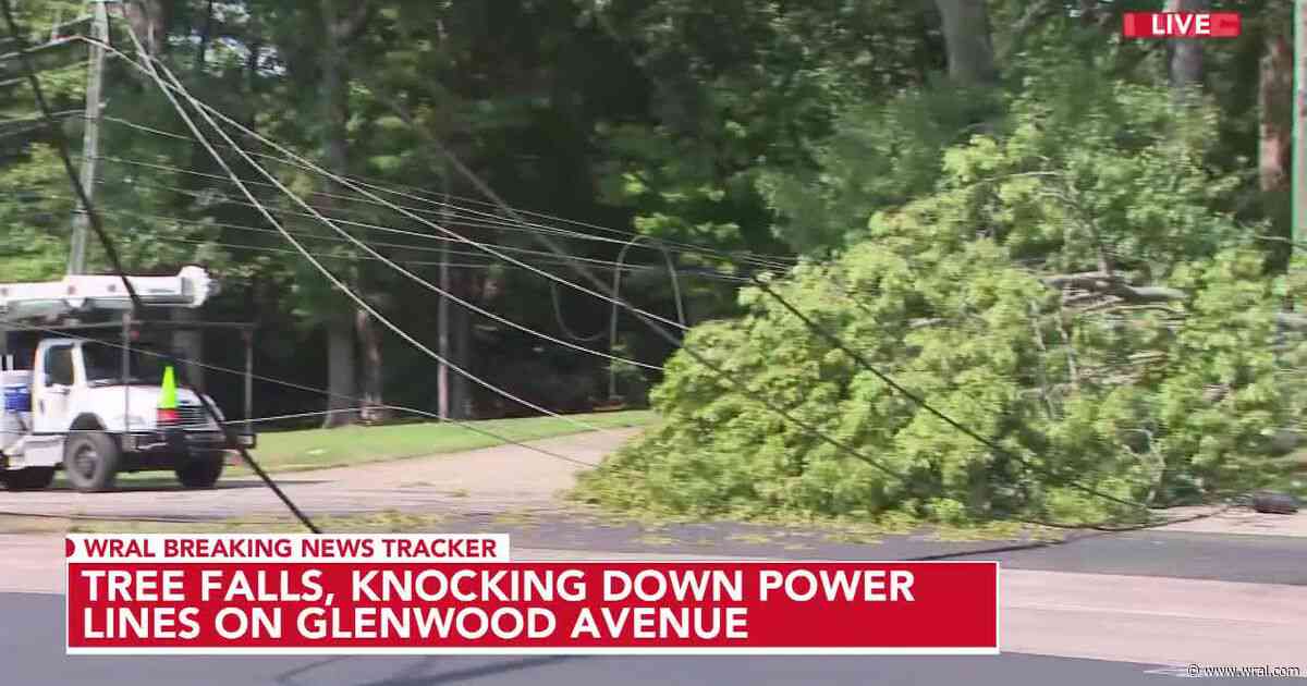 40-minute delays and building. Tree down across Glenwood in Raleigh