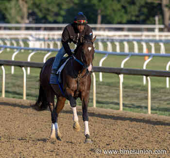 Powerline, high-priced son of Horse of the Year Flightline, debuts Saturday at Saratoga