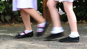 Supply teachers found working in Welsh schools with expired DBS checks