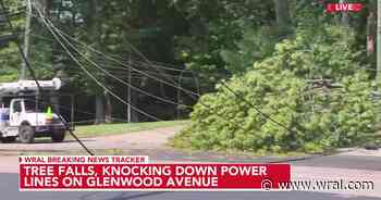 Glenwood in Raleigh closed until Saturday afternoon after tree collapses, bringing down power lines
