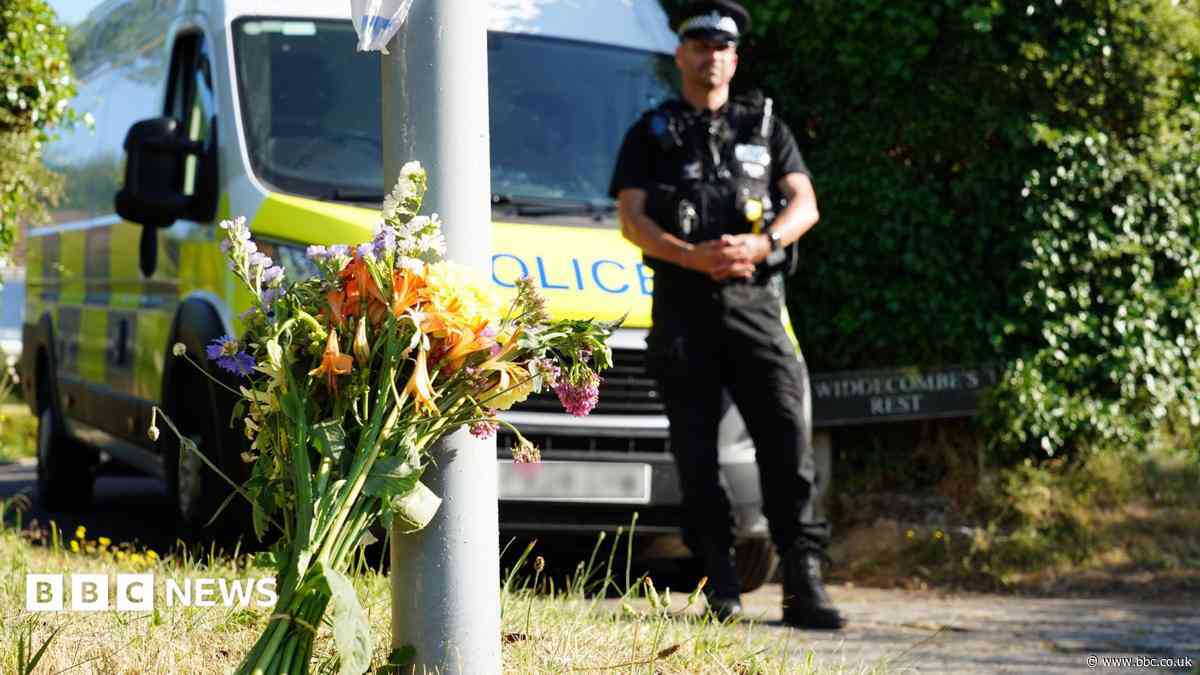 Uncle of Ann Widdecombe suspect says he 'nearly fell to floor' over arrest