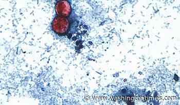 Foodborne illnesses at restaurant chains are rare but can sicken customers