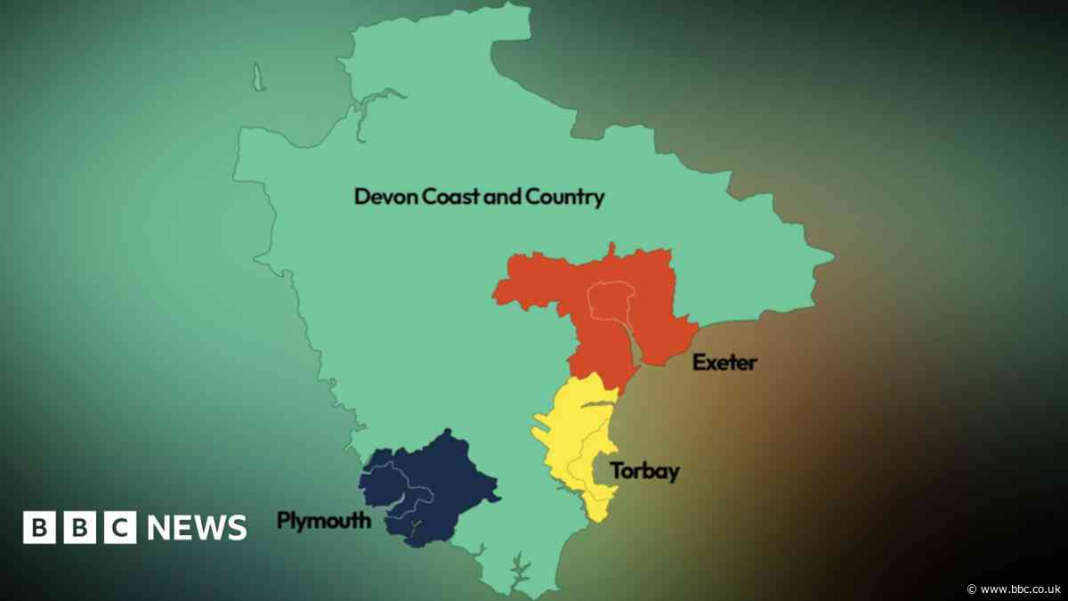 Your Voice: Ask us your questions on council shake-up