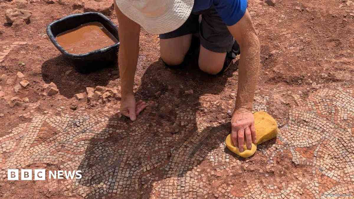 'Dream' Roman mosaic find dug up from farmland