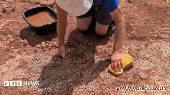 'Dream' Roman mosaic find dug up from farmland