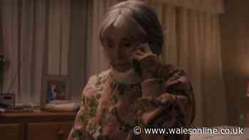 BBC viewers 'in tears' as new show 'full of emotion' leaves fans hooked