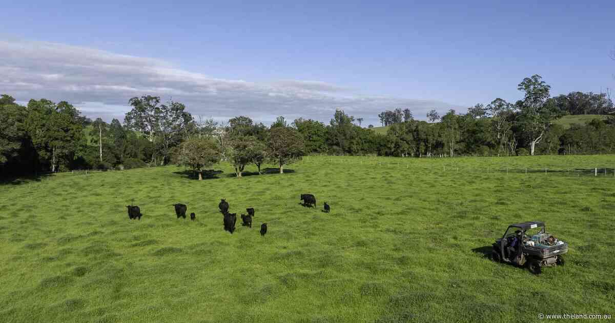 Magnificent 1295 acre Carrs Creek delivers quality rural lifestyle | Video