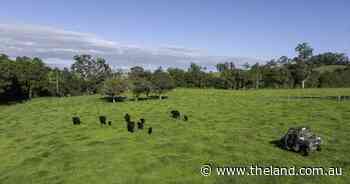 Magnificent 1295 acre Carrs Creek delivers quality rural lifestyle | Video