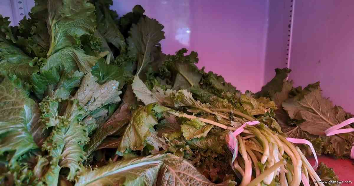 With cyclosporiasis cases rising, Atlanta farmers and consumers try to reduce their risk