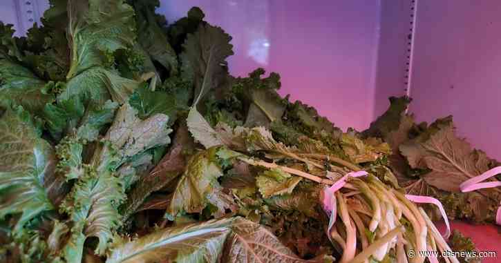 With cyclosporiasis cases rising, Atlanta farmers and consumers try to reduce their risk