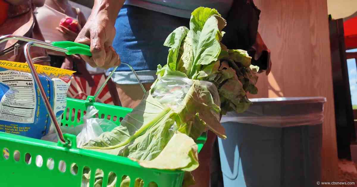 Cyclosporiasis outbreaking impacting Georgia farmers