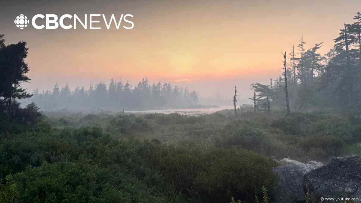 Out of control wildfire causes evacuations in Nova Scotia's Eastern Shore