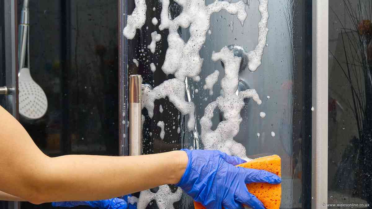 Cleaner swears by £1.50 Home Bargains limescale remover spray for shower screens