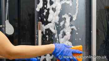 Cleaner swears by £1.50 Home Bargains limescale remover spray for shower screens