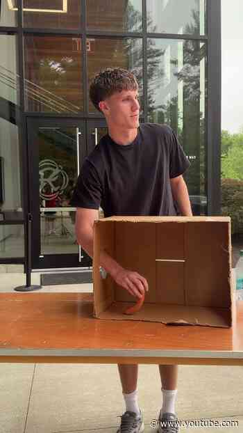 Makes us want a hot dog, real badThinking inside the box for #nationalhotdogday 🌭
