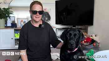 Smart glasses help woman keep guide dog safe in heat