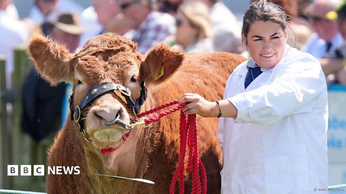 Great Eccleston Show 2026: How to get there and what to see