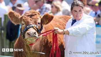 Great Eccleston Show 2026: How to get there and what to see