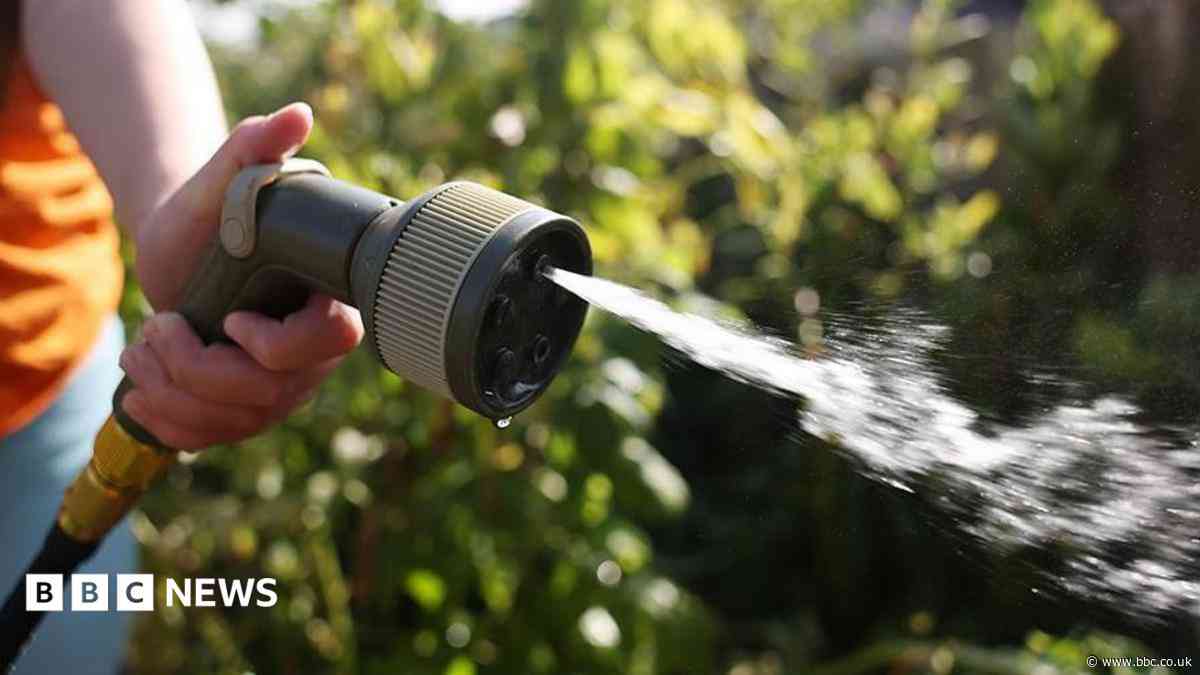 Hosepipe ban likely after record demand, warns Welsh Water
