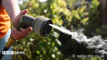Hosepipe ban likely after record demand, warns Welsh Water