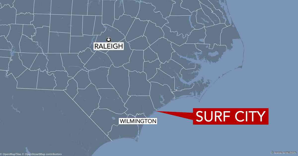 Fleas close part of NC beach