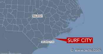 Fleas close part of NC beach