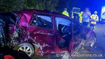 Drugged-up van driver got on the M4 and minutes later he did this